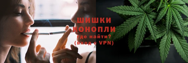 мдпв Вязники