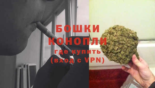метадон Вяземский