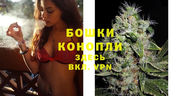 мдпв Вязники