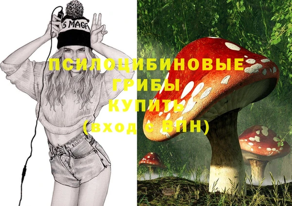 метадон Вяземский