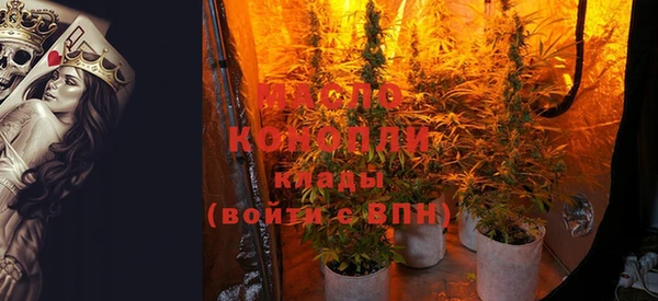метадон Вяземский