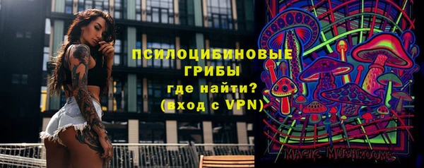 амф Вязьма
