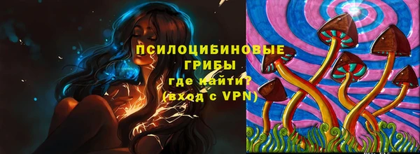 метадон Вяземский